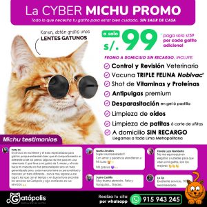LA CYBER MICHU PROMO (a domicilio)