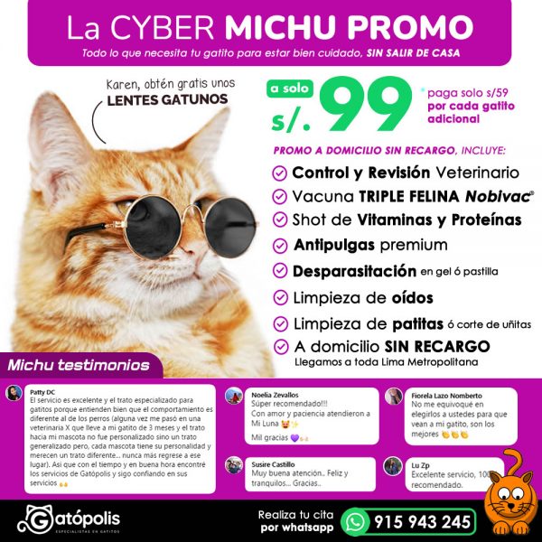 LA CYBER MICHU PROMO (a domicilio)