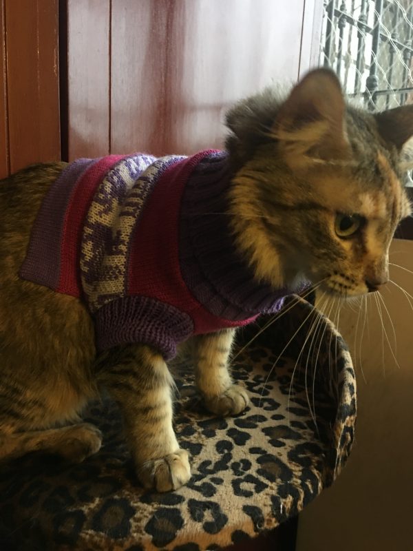Polo faldita morada con rosado