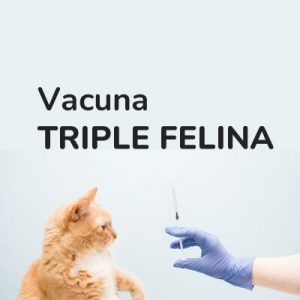VACUNA TRIPLE FELINA  (a domicilio)