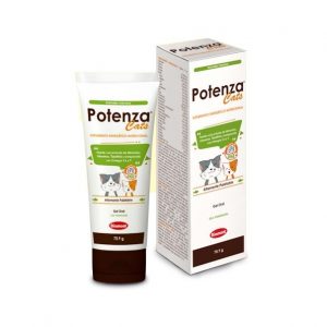 Potenza Cats