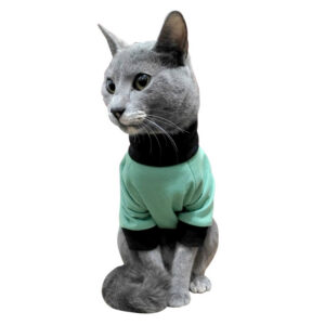 Michupolos colores enteros