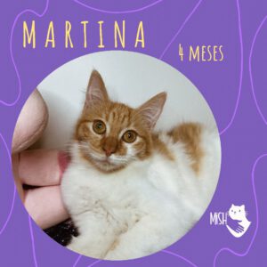 Adopción: Martina (4 meses)