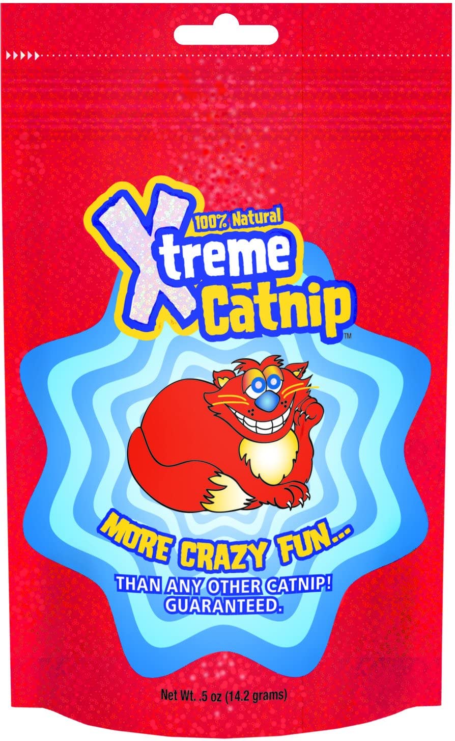Hierba Gatera Xtreme catnip