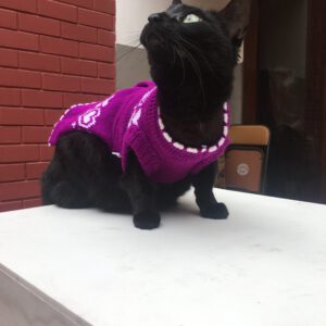 Politos tejidos abrigadores para michus