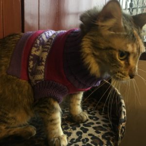 Polo faldita morada con rosado