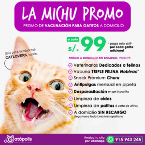LA MICHU PROMO (a domicilio)