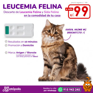 PROMO LEUCEMIA FELINA BIONOTE (a domicilio)