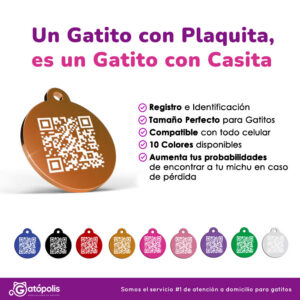 Plaquita con Código QR + Collar Reflectivo