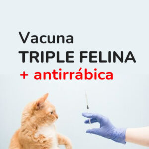 VACUNA TRIPLE + RABIA (a domicilio)